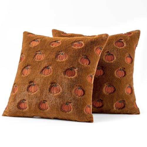MIULEE Fall Pumpkin Pillow Covers 18x18 Pack of 2 - Rust Autumn Decor