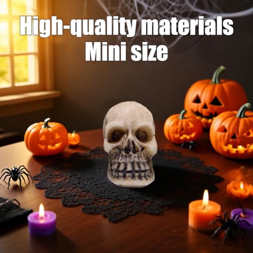 Halloween Mini Skull Set - 40 Realistic Resin Skeleton Heads for Decor
