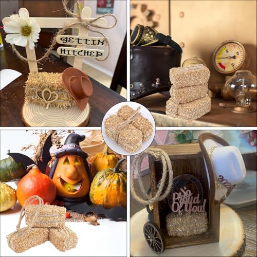 Mini Decorative Hay Bales & Twisted Hemp Rope Set for Fall Halloween Crafts & Rustic Decor