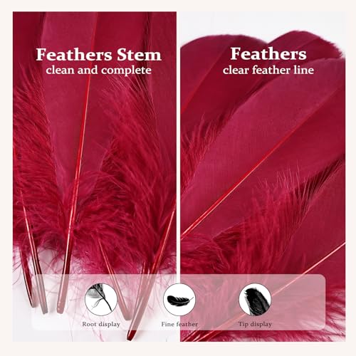 FeelfunFeather 120pcs Wine Red Goose Feathers 6-8 Inch for DIY Crafts & Decorations