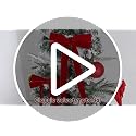 Green Velvet Ribbon Bows 12-Pack Christmas Tree Decorations Holiday Ornaments