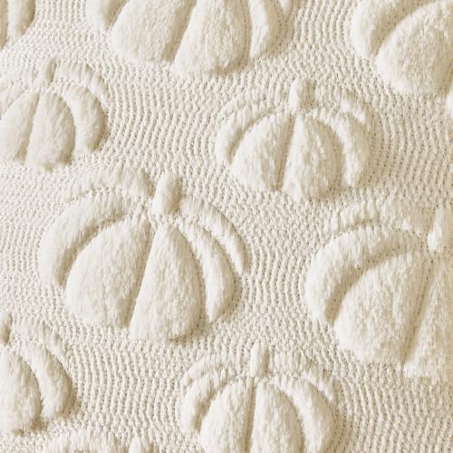 Cream White Fall Decor Pillow Covers 20x20 Set of 2 Pumpkin Embroidered