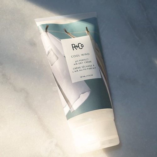 R+Co Cool Wind pH Perfect Air Dry Hair Cream - Hydrates, Tames & Softens Hair | Vegan & Cruelty-Free