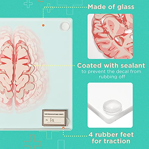 Medical Brain Specimen Coasters Set of 10 - Human Anatomy Neuroscience Gift - Variation of 10