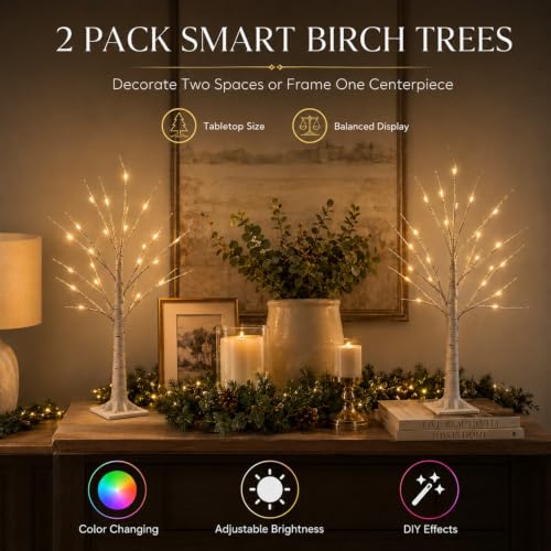 2FT RGB Lighted Birch Trees Set - App & Remote Control, 2 Pack