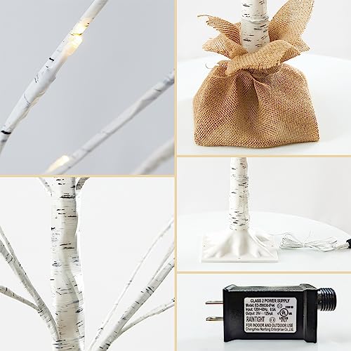 Outdoor Christmas Birch Tree Lights Set - 3 Pack, 4ft 5ft 6ft Variations