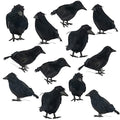 Halloween Black Feathered Crow Decorations - 12 Pack Lifelike Bird Props