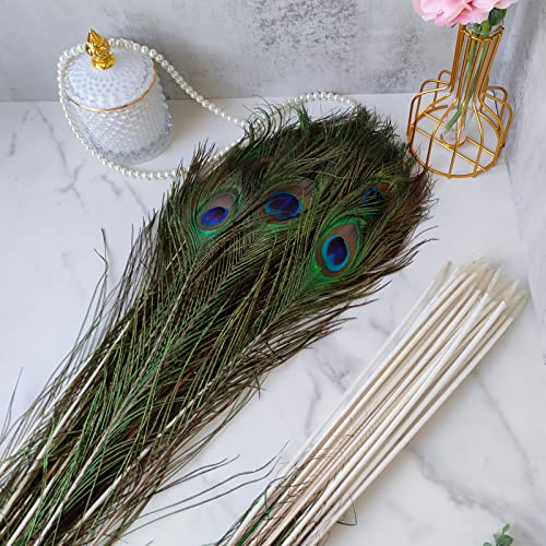 Natural Peacock Feathers 35-40 Inch Bulk 24pcs for Wedding & Craft Decor - Variation of 35-40Inch-24pcs