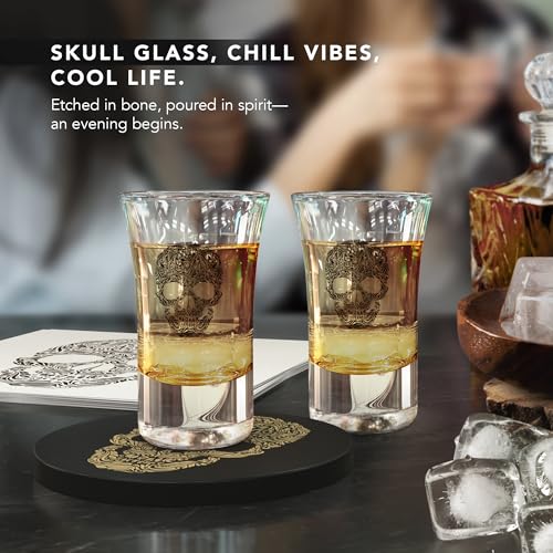 Skull Gothic Shot Glass Gift Set - 4 Dark Themed Glasses Coasters & Cards