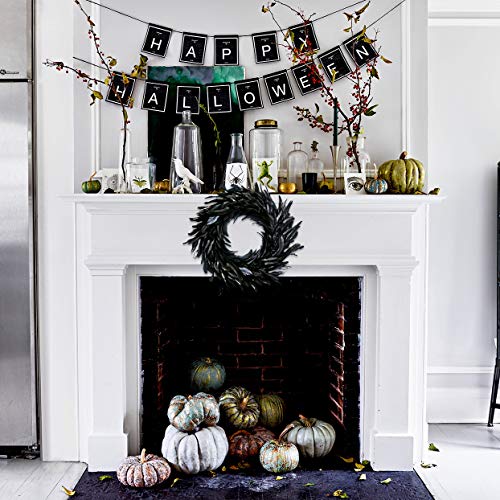 Black Feather Wreath - 14.9'' Halloween Front Door Decor - Variation of Feather Wreath 1
