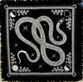18x18 Inch Tarot Altar Cloth with Silver Snake - Handmade Cotton Witchcraft Table Cover