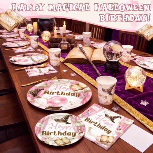 Pink Magical Wizard Birthday & Halloween Party Decorations Set - 96 Pieces with Plates Cups Napkins - Sunnychicc