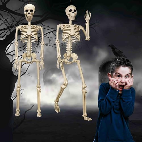 2 Pack 36-Inch Life Size Human Skeletons for Halloween Decorations - Movable Joints, Yard & Party Decor