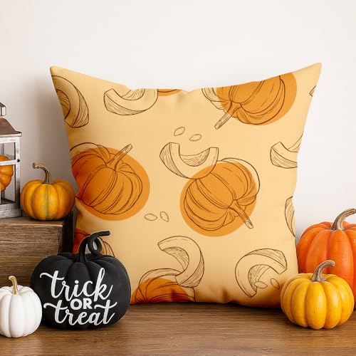 Fall Pumpkin Pillow Cover 18x18 - Orange Farmhouse Decor, 2-Pack, Variation Fall-10
