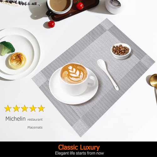 Gray Vinyl Placemats Set of 12 - Silver Heat Resistant Table Mats - Uolr Variation