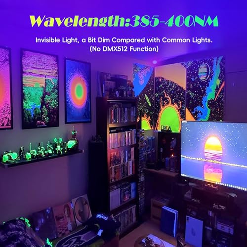 500W Black Light Flood Light - Waterproof UV LED for Neon Parties & Events - 2 Pack