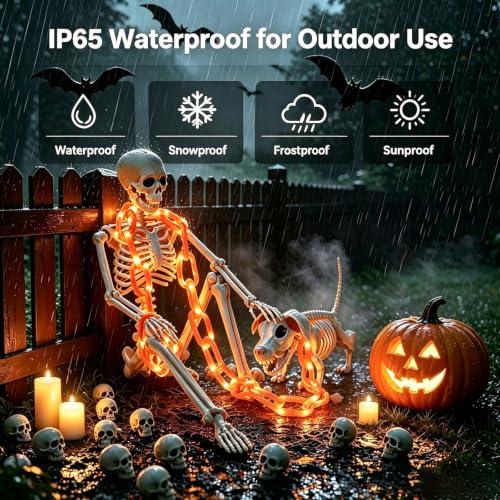 Outdoor Halloween Skeleton & Dog Skeleton with Glowing Chain - Weatherproof Decor