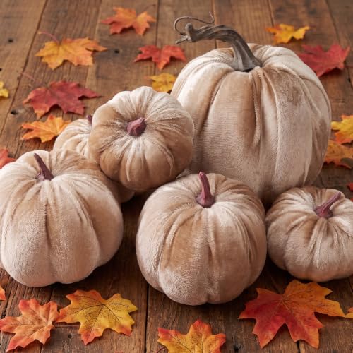 Artificial Velvet Pumpkins Set - Large Fake Halloween Decor, Champagne Variation
