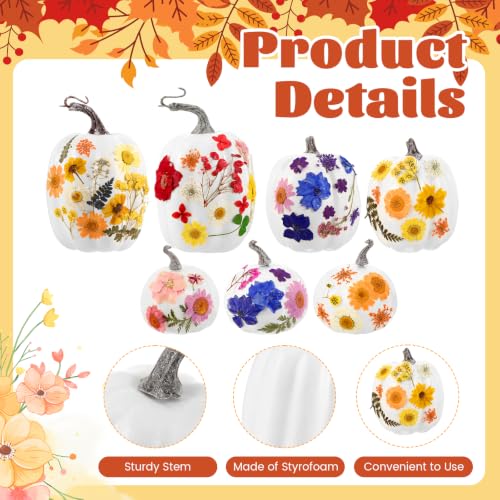 White Artificial Pumpkin Craft Kit with Dried Flowers, 24 Pieces