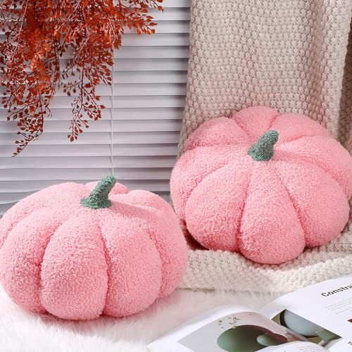Pumpkin Pillow Set - 2 Pcs Fall Decor Cushions, Pink, 11 x 9.5 Inch