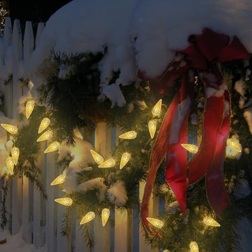 Anycosy Battery-Powered Indoor Outdoor String Lights - Warm White, 50 C3 LEDs