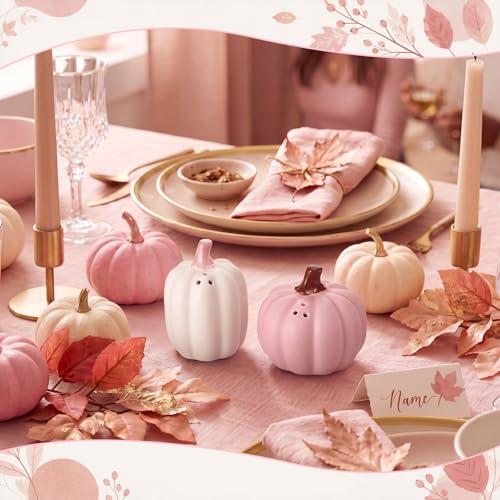 Pink White Pumpkin Salt and Pepper Shaker Set - Fall Halloween Kitchen Decor - Variation of Pink & White