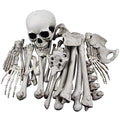 Halloween Skeleton Bones and Skull Decor Set - 28 Pieces Spooky Graveyard Ground Decoration - Variation of THIS Listing