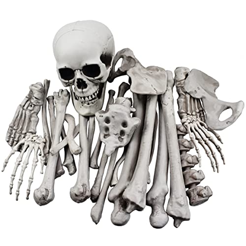 Halloween Skeleton Bones and Skull Decor Set - 28 Pieces Spooky Graveyard Ground Decoration - Variation of THIS Listing