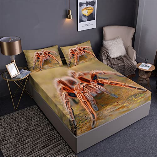 Spooky Spider Tarantula Fitted Sheet Set Queen 3PCS Bedding with Pillowshams