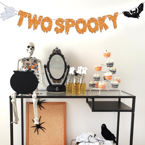 Halloween 2nd Birthday Banner - Spooky Hello Boo Bat Decorations for Kids