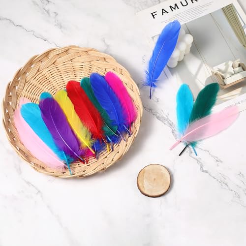 Orange Goose Feathers for Crafts - 200pcs, 5-7 inch DIY Decoration