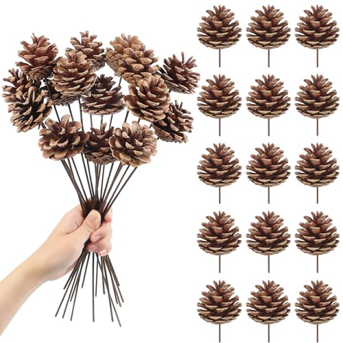 Natural Pine Cone Decorations - 15pcs 30cm Pine Cone Picks for Holiday & DIY Crafts