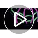 Halloween Wall Decoration LED Spider with Web Neon Light - Indoor Outdoor Decor
