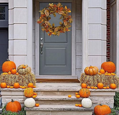 Rusty Red Magnolia Fall Wreath - 20 Inch Autumn Magnolia with Berries for Front Door & Wall Decor