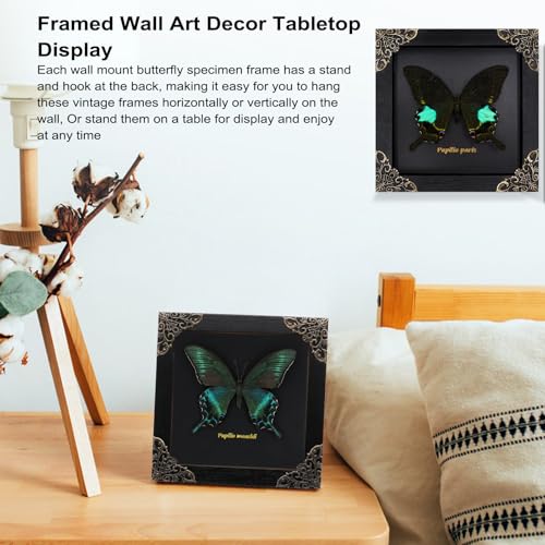 Butterfly Shadow Box Wall Decor - Handmade Taxidermy Framed Butterfly - Gothic Dark Academia Gift - 7x7 Inches - Variation: Butterfly Framed