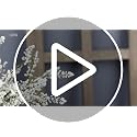 White Rustic Wood Window Frame Wall Decor - 18x22 Inch, 6 Pane - Weathered Finish
