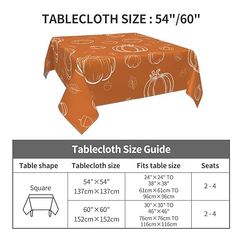 Fall Square Tablecloth 60x60 Inch White Pumpkins Orange Harvest Thanksgiving