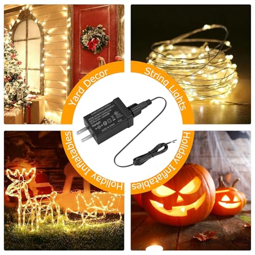 30V 6W Waterproof Power Supply Adapter for LED Lights and Christmas Decor