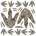 Dinosaur Footprint Stickers for Dinosaur Party Decorations - 90pcs, Multi-Style, Variation 1