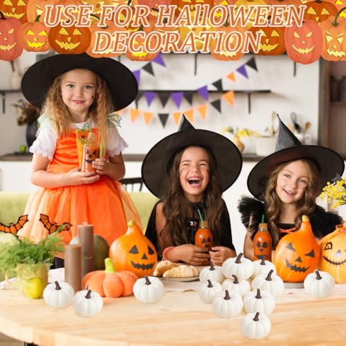 24 Pack White Artificial Pumpkins for Fall Decor, Rustic Foam Halloween & Thanksgiving Centerpieces
