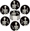 Skeleton Skull Coasters Set of 6 - Ceramic Stone Vintage Drink Protectors