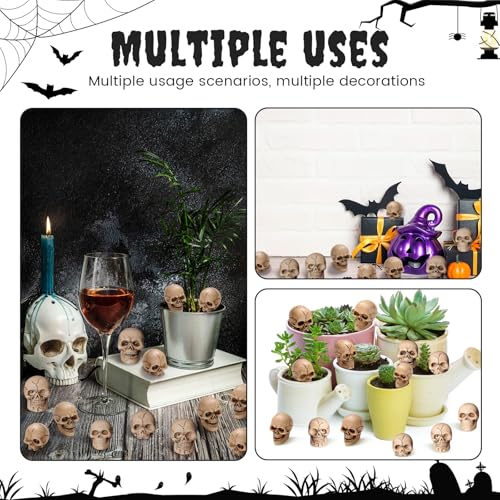 Civaner 160 Pcs Halloween Mini Skull Figurines - Creepy Resin Decorations for Miniature Scenes & Party Decor Variation of THIS listing