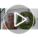 16 Inch Preserved Boxwood Wreath - Indoor Home Decor for Christmas & All Seasons - Green