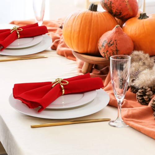 Orange Cloth Napkins Set of 8 - 18x18 Inch Microfiber Fall Table Decor