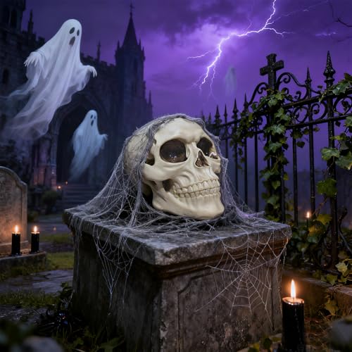Life Size Human Skull Model - Halloween Decor, Medical & Educational Display