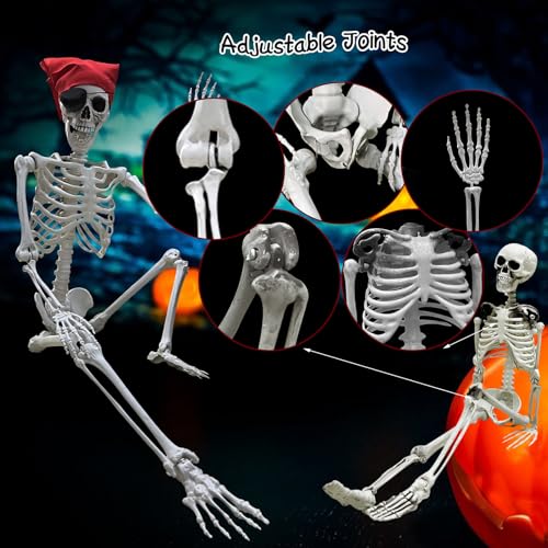 Posable Halloween Skeleton Prop - Life Size 5.4ft & 3ft Full Body Bones with Joints