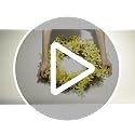 Artificial Forsythia Wreath 18 Inch - Indoor Door Decor, Gift, Home & Office