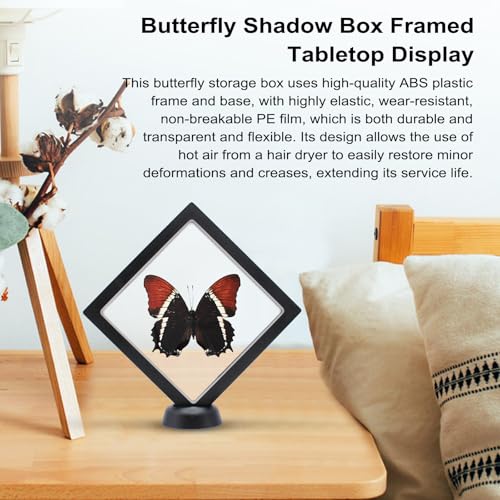 Siproeta Eppapus Butterfly Shadow Box - Handmade Taxidermy Framed Butterfly Decor