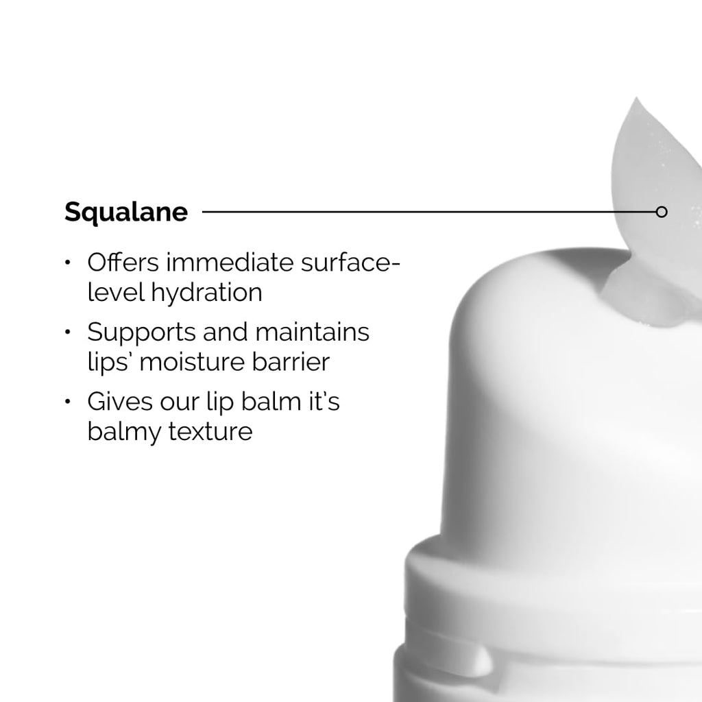 The Ordinary Lip Care Duo | PHA 5% Exfoliating Lip Serum & Squalane Lip Balm Set - 0.5 Fl Oz