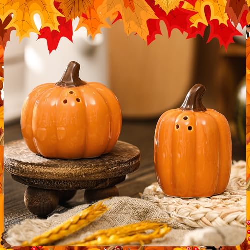 Fall Pumpkin Salt and Pepper Shakers - Orange Ceramic Set for Harvest Decor